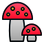 Mushrooms icon