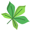 Horse Chestnut Leaf icon