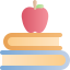knowledge icon