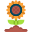 sunflower icon