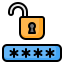 password icon
