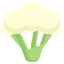 Blumenkohl icon