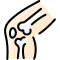 knee icon