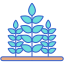 Rogner icon