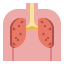 Poumons icon
