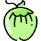 coconut icon