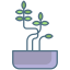 阳光下的植物 icon