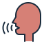 voice icon