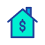 dollar icon