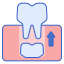 Dentition icon