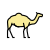 Camelo icon