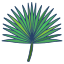 enagua-externa-hojas-icongeek26-color-lineal-icongeek26 icon