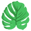 esterno-monstera-foglie-icongeek26-flat-icongeek26 icon