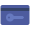 Key icon