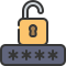 Password icon