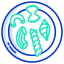 pasta icon