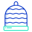 cap icon