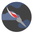 bomb icon
