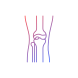 osteoarthritis icon