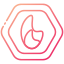 fire icon