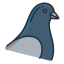 pigeon icon