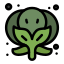 broccoli icon