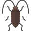 Cockroach icon