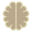 brain icon