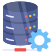 Database Management icon