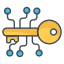 digital key icon