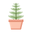 Fern Plant icon