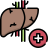 external-Hepatology-medical-service-beshi-color-kerismaker icon