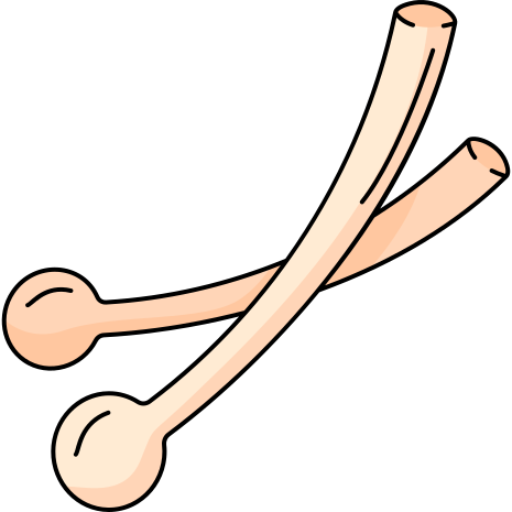 drumstick icon