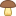 Champignon icon