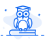 weisheit icon