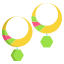 ohrringe icon