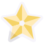 christmas star icon