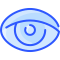 Eye icon