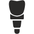 Implant icon