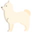 pomerânia icon