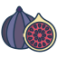 Figs icon