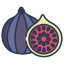 figs icon