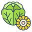 Cabbage And Corn icon