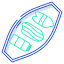 wasabi sushi icon