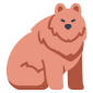 animal icon