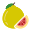 外部柚子水果二月希达亚特平坦二月希达亚特 icon