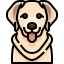dog icon