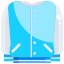 Baseball Jersey icon