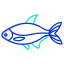 bream fish icon