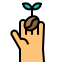 Coffee Seed icon